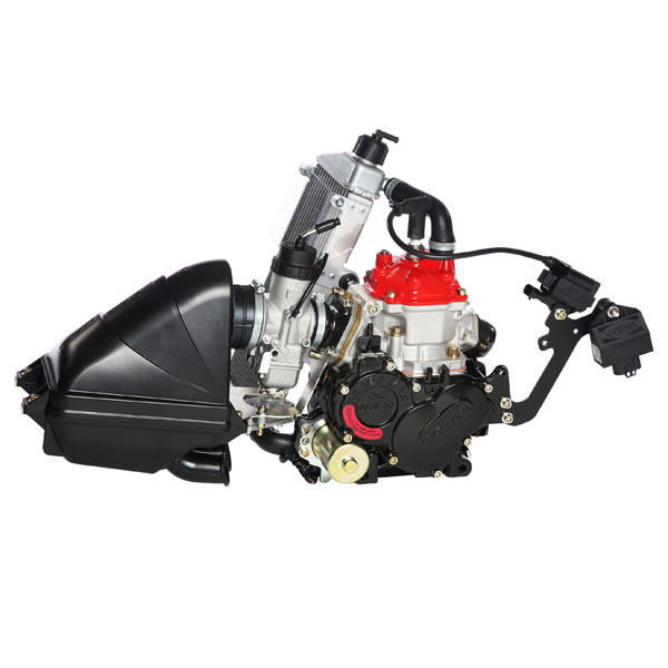 Rotax 125 Junior Max Evo engine package – Msquared Karting